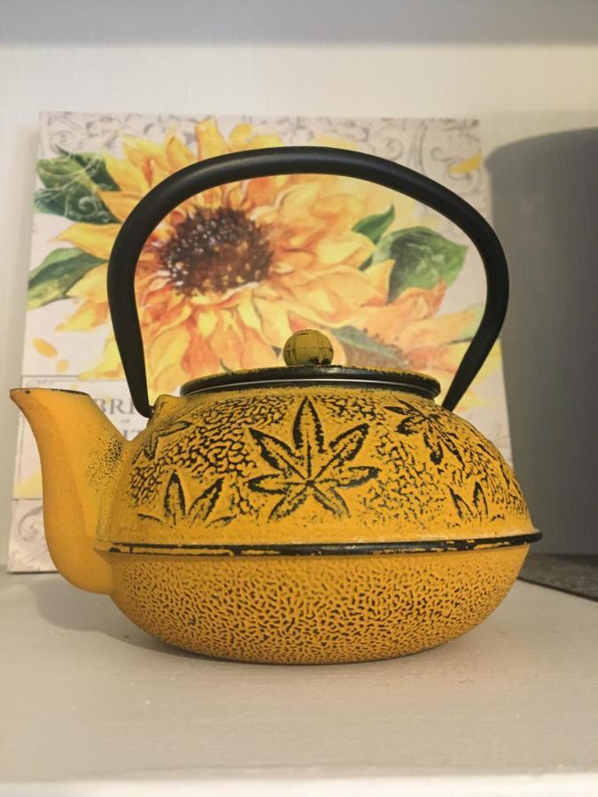 Sancerre Sunflower - Tournesol De 桑塞尔 外观 照片